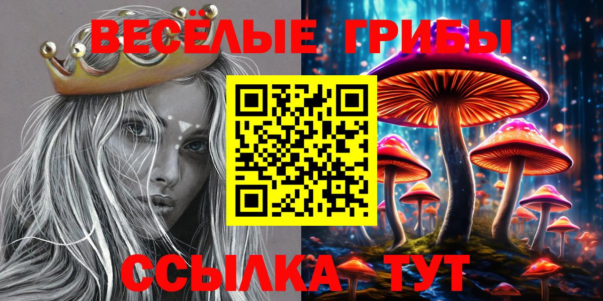 Галлюциногенные грибы Psilocybine cubensis Анапа