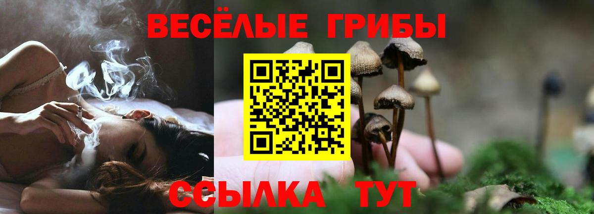 Псилоцибиновые грибы MAGIC MUSHROOMS  Вход с VPN  Анапа  Псилоцибиновые грибы GOLDEN TEACHER 